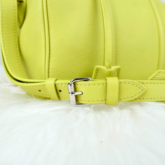 Louis Vuitton Sofia Coppola (SC) Bag in Rare Pistache - Picture 10 of 16